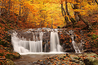 Водопад в лесу. Осенний пейзаж. (Код изображения: 01007)