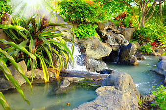 Небольшой водопад в тропическом саду. (Код изображения: 01010)