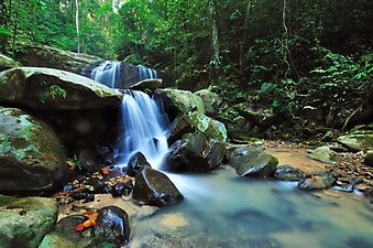 Водопад на острове Борнео (Каталог номер: 01057)