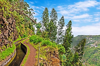 Пешеходная тропа в горах, Мадейра (Каталог номер: 03067)