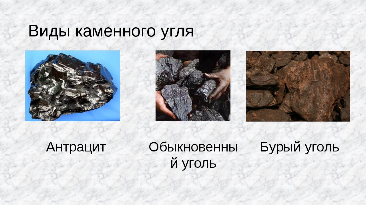 К какой группе относится каменный уголь