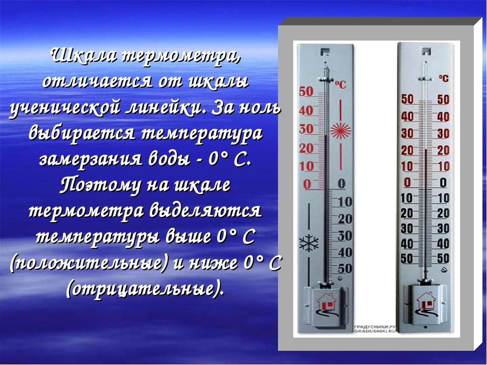 Чем отличаются градусники. Шкала термометра. Шкала градусника. Шкала для водяного термометра. Шкала градусника линейка.