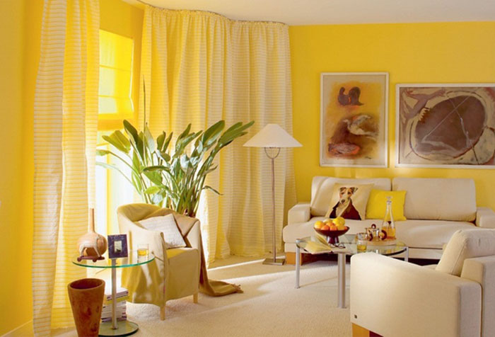 Желтые обои и белые шторы в гостиной