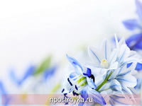Фотопечать цветы Фото 70