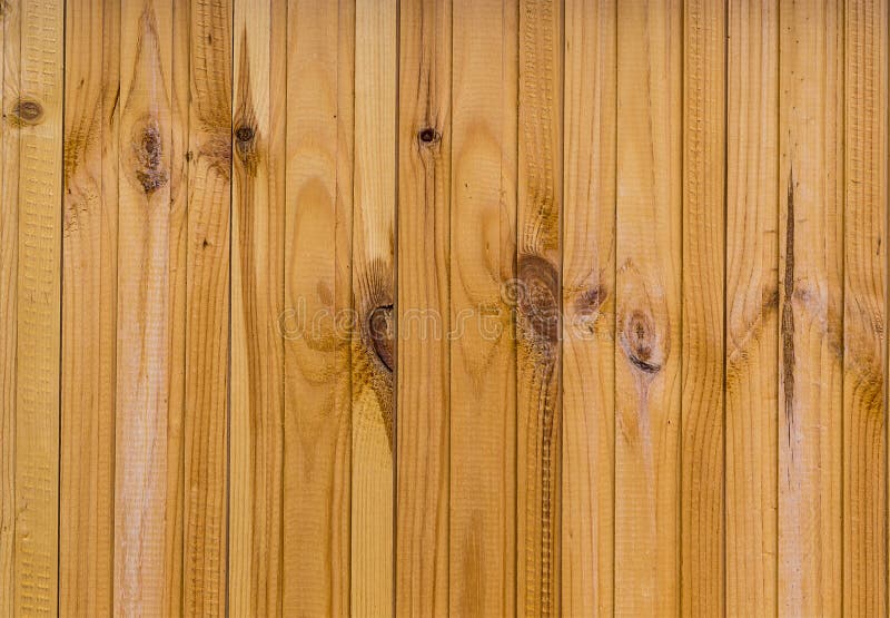 Vertical board beige warm light wooden background texture. With annual rings royalty free stock photography