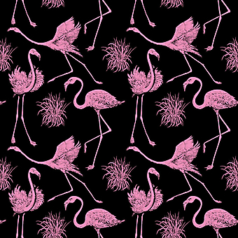 Фламинго. (Код изображения: 22037)