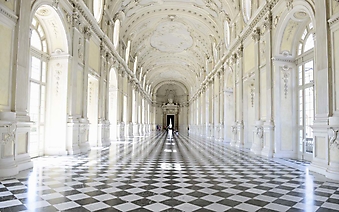 Зал королевского дворца Венария (Каталог номер: 08087)